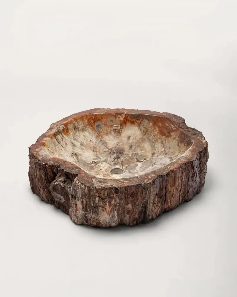 Lave-mains - Petrified wood Basin - PRESTONEX DESIGN PVT LTD