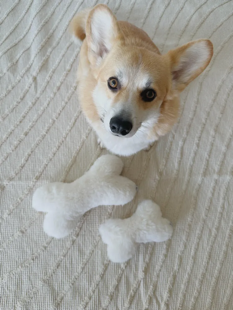 Decorative objects - Natural Sheepskin Dog Toy: Bone - White - MELLOW CONCEPT STORE