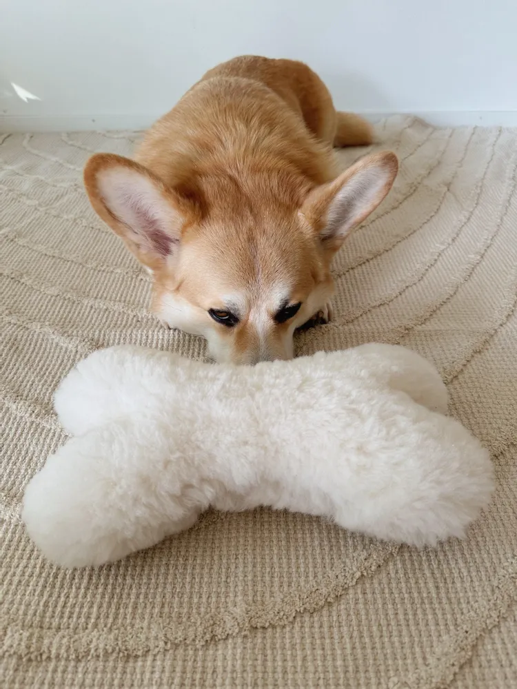 Decorative objects - Natural Sheepskin Dog Toy: Bone - White - MELLOW CONCEPT STORE