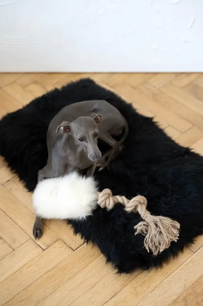 Decorative objects - Natural Sheepskin Dog Tug Toy - White - MELLOW CONCEPT STORE
