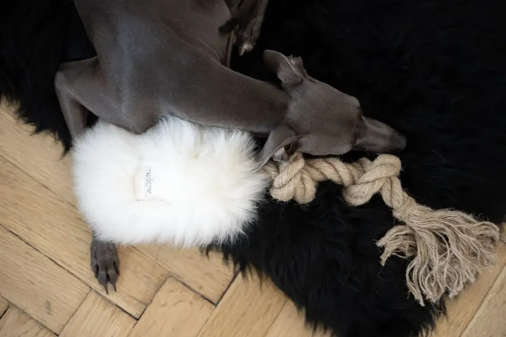 Decorative objects - Natural Sheepskin Dog Tug Toy - White - MELLOW CONCEPT STORE