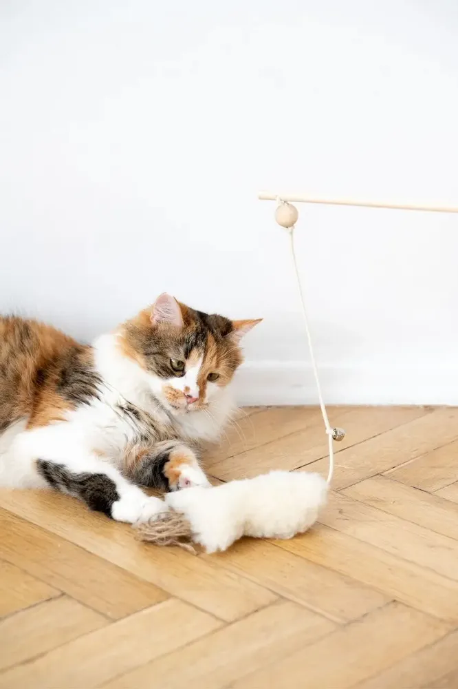 Decorative objects - Natural Sheepskin Cat Toy: Fish - MELLOW CONCEPT STORE