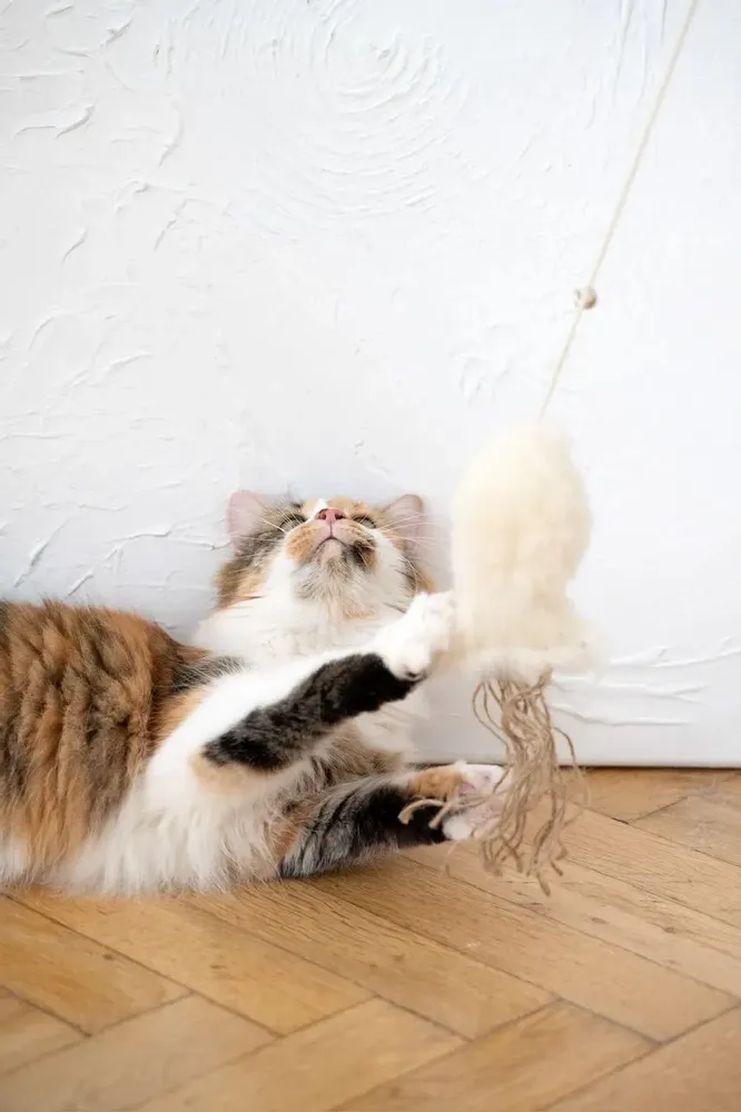 Decorative objects - Natural Sheepskin Cat Toy: Fish - MELLOW CONCEPT STORE
