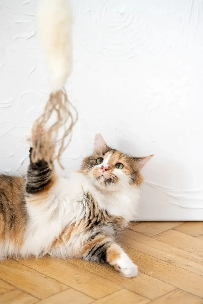 Decorative objects - Natural Sheepskin Cat Toy: Fish - MELLOW CONCEPT STORE