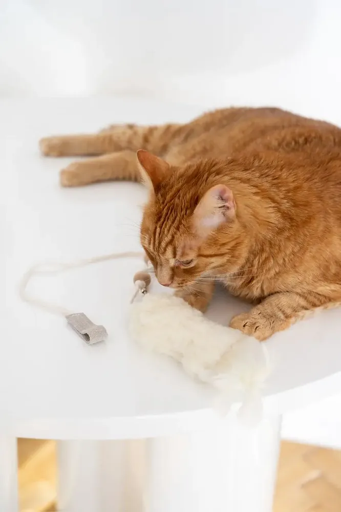 Decorative objects - Natural Woolen Cat Toy: Fish - MELLOW CONCEPT STORE