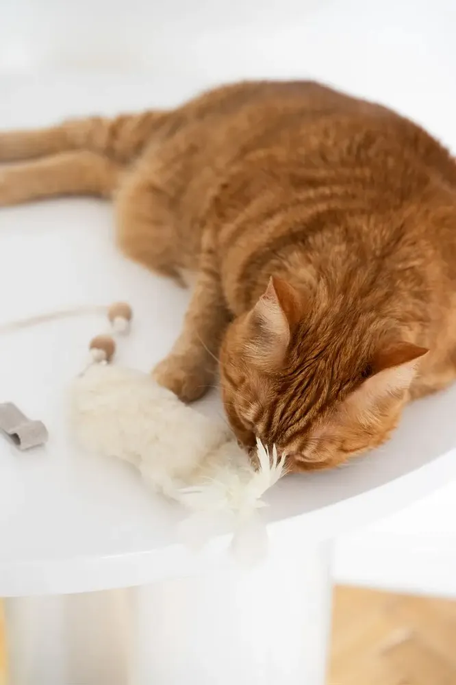 Decorative objects - Natural Woolen Cat Toy: Fish - MELLOW CONCEPT STORE