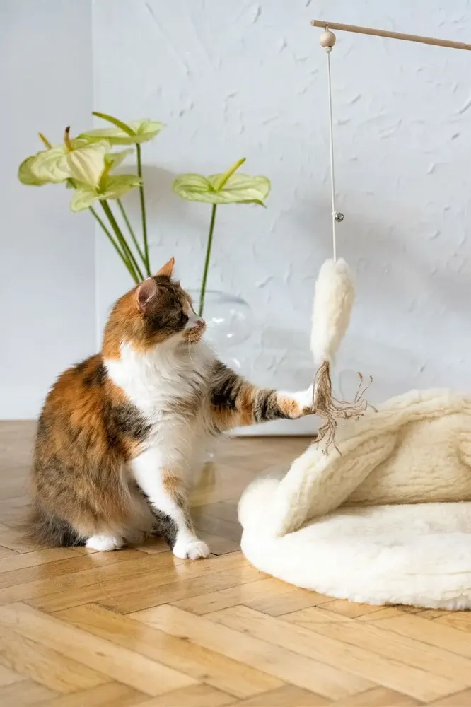 Decorative objects - Natural Woolen Cat Toy: Fish - MELLOW CONCEPT STORE