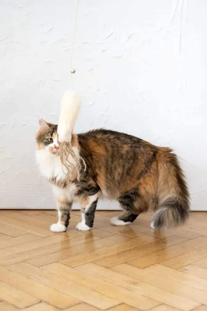 Decorative objects - Natural Woolen Cat Toy: Fish - MELLOW CONCEPT STORE