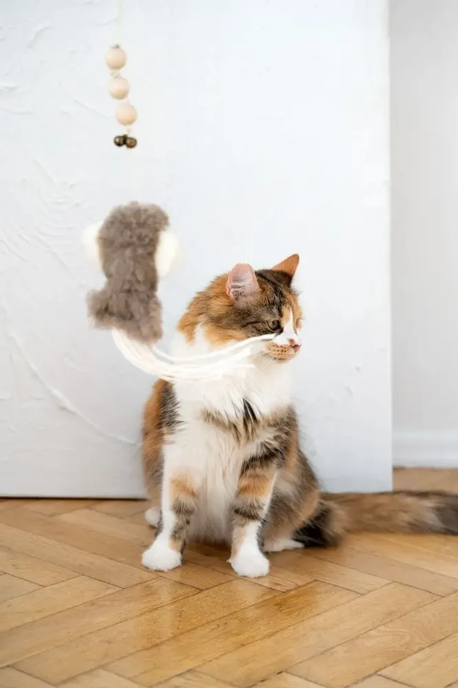 Decorative objects - Natural Sheepskin Cat Toy: Squid - MELLOW CONCEPT STORE