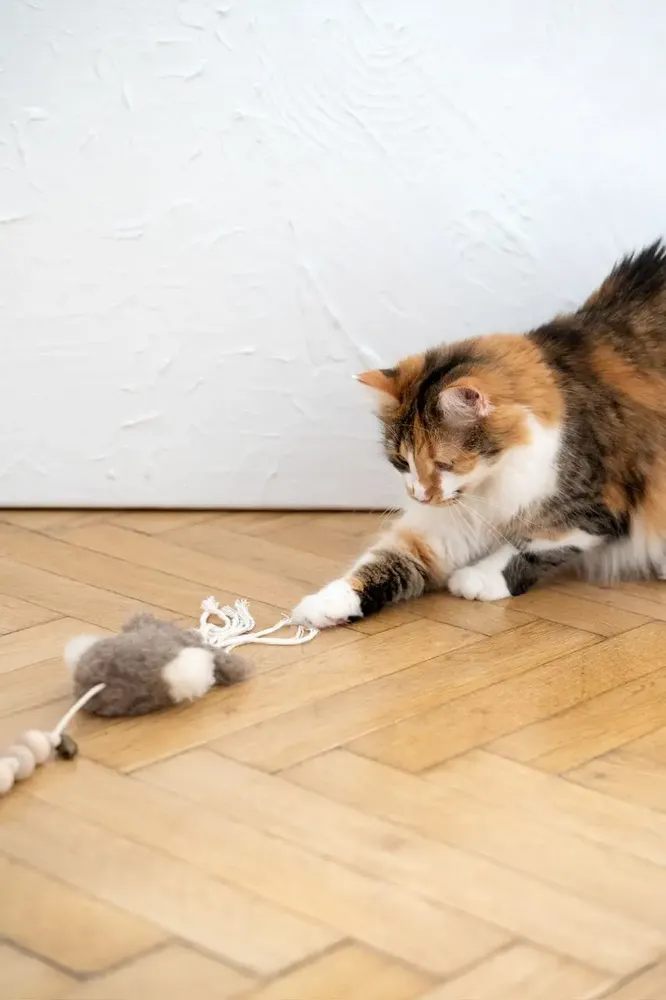 Decorative objects - Natural Sheepskin Cat Toy: Squid - MELLOW CONCEPT STORE