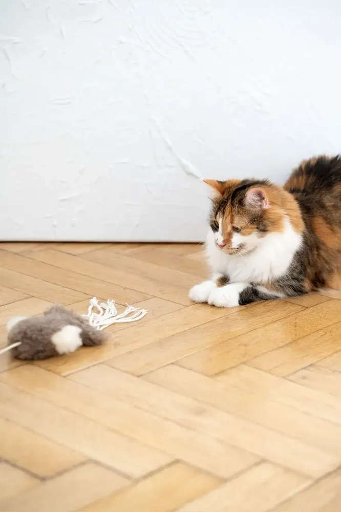 Decorative objects - Natural Sheepskin Cat Toy: Squid - MELLOW CONCEPT STORE
