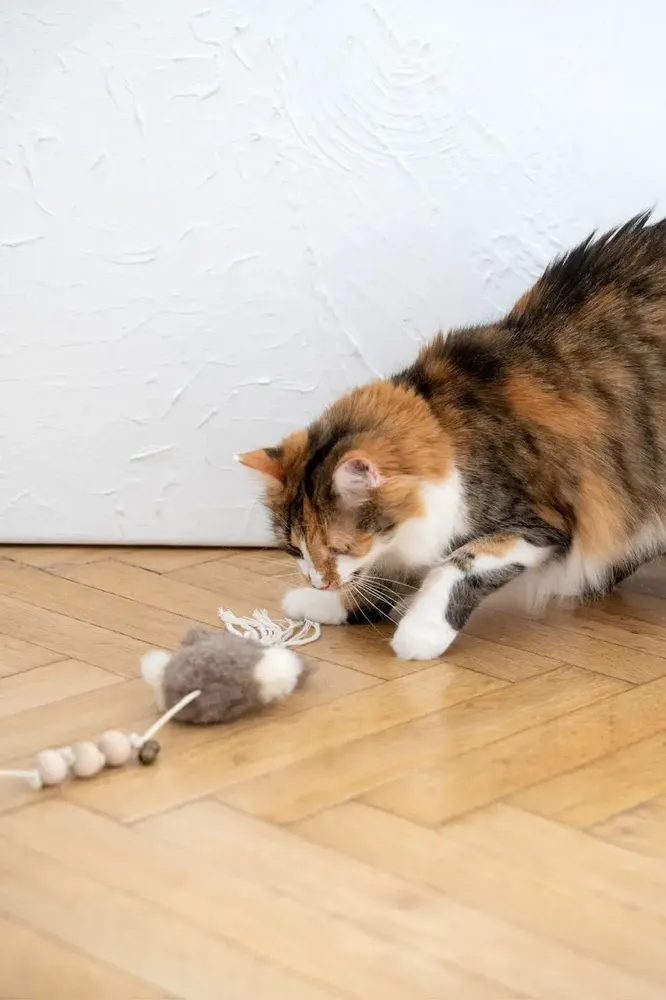 Decorative objects - Natural Sheepskin Cat Toy: Squid - MELLOW CONCEPT STORE