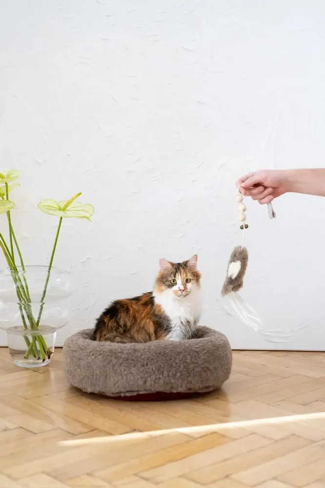 Decorative objects - Natural Sheepskin Cat Toy: Squid - MELLOW CONCEPT STORE