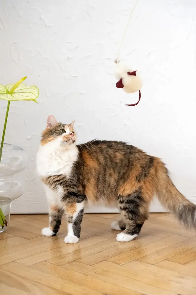 Decorative objects - Natural Sheepskin Cat Toy: Mouse - MELLOW CONCEPT STORE