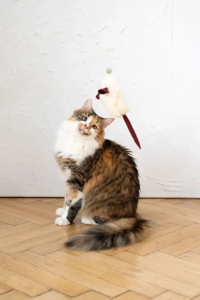 Decorative objects - Natural Sheepskin Cat Toy: Mouse - MELLOW CONCEPT STORE