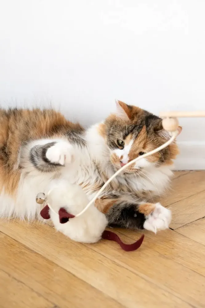 Decorative objects - Natural Sheepskin Cat Toy: Mouse - MELLOW CONCEPT STORE