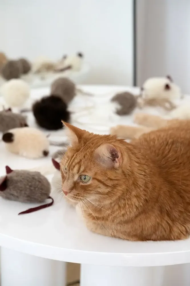 Decorative objects - Natural Sheepskin Cat Toy: Mouse - MELLOW CONCEPT STORE