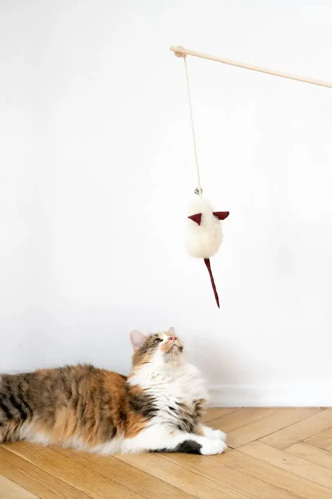 Decorative objects - Natural Woolen Cat Toy: Mouse - MELLOW CONCEPT STORE