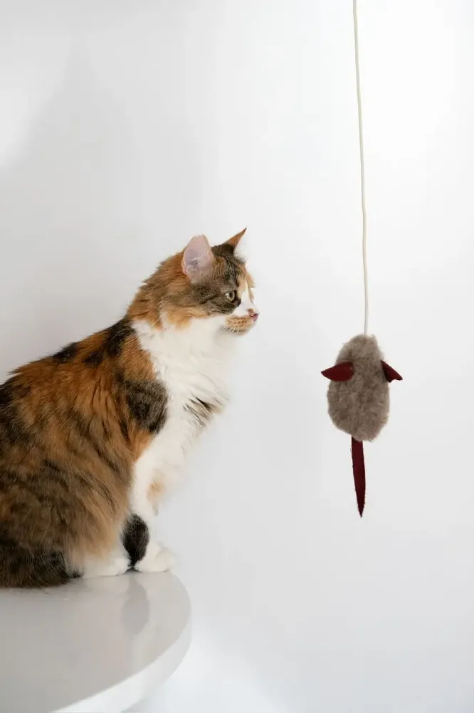 Decorative objects - Natural Woolen Cat Toy: Mouse - MELLOW CONCEPT STORE