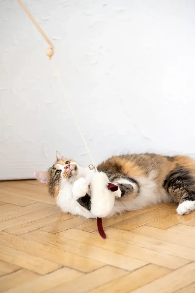 Decorative objects - Natural Woolen Cat Toy: Mouse - MELLOW CONCEPT STORE