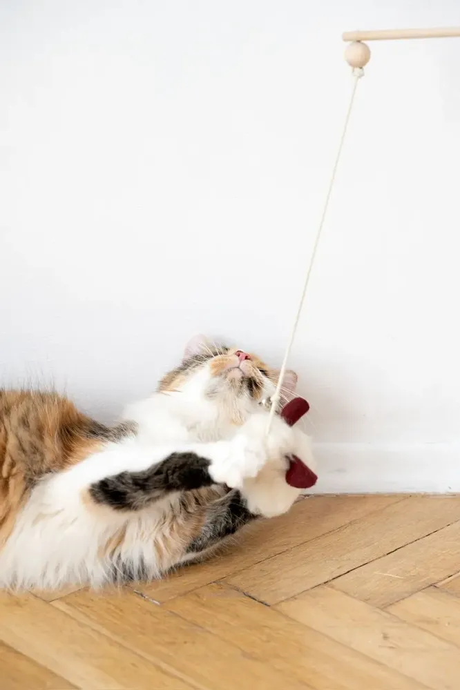 Decorative objects - Natural Woolen Cat Toy: Mouse - MELLOW CONCEPT STORE
