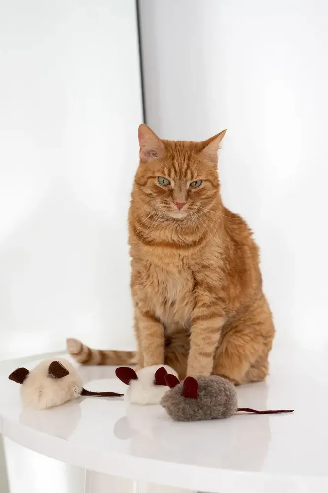 Decorative objects - Natural Woolen Cat Toy: Mouse - MELLOW CONCEPT STORE