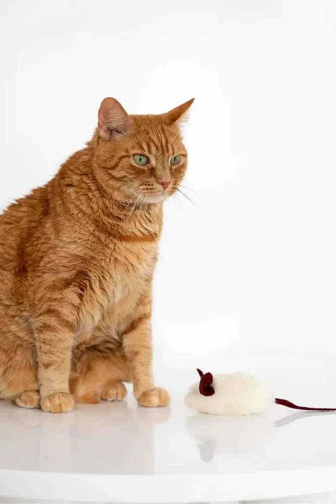 Decorative objects - Natural Woolen Cat Toy: Mouse - MELLOW CONCEPT STORE