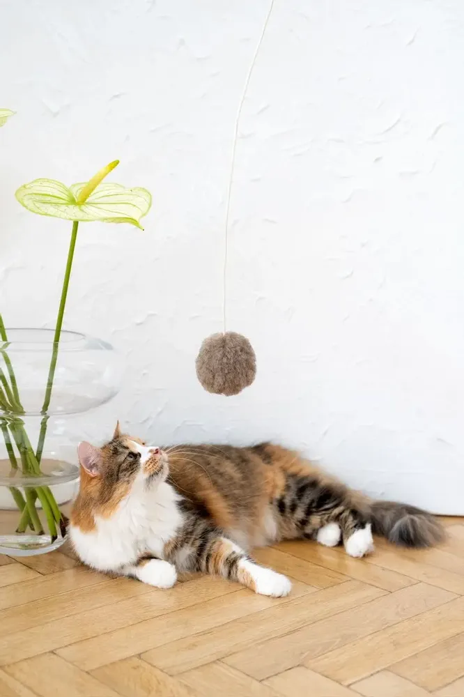 Decorative objects - Natural Woolen Cat Toy: Ball - MELLOW CONCEPT STORE