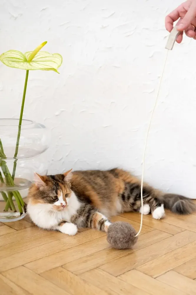 Decorative objects - Natural Woolen Cat Toy: Ball - MELLOW CONCEPT STORE