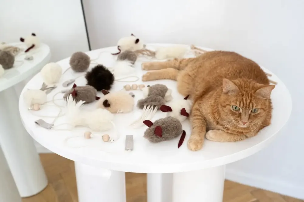Decorative objects - Natural Woolen Cat Toy: Ball - MELLOW CONCEPT STORE