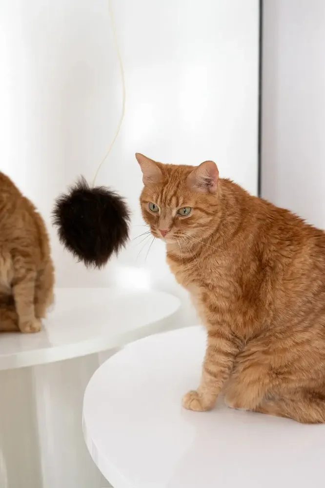 Decorative objects - Natural Sheepskin Cat Toy: Ball - MELLOW CONCEPT STORE