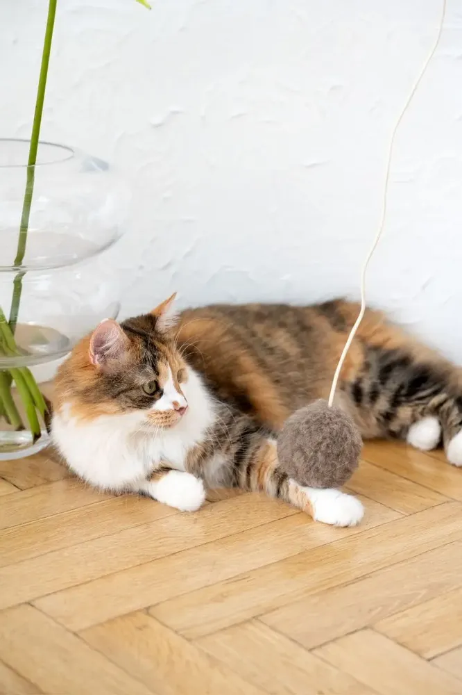 Decorative objects - Natural Sheepskin Cat Toy: Ball - MELLOW CONCEPT STORE