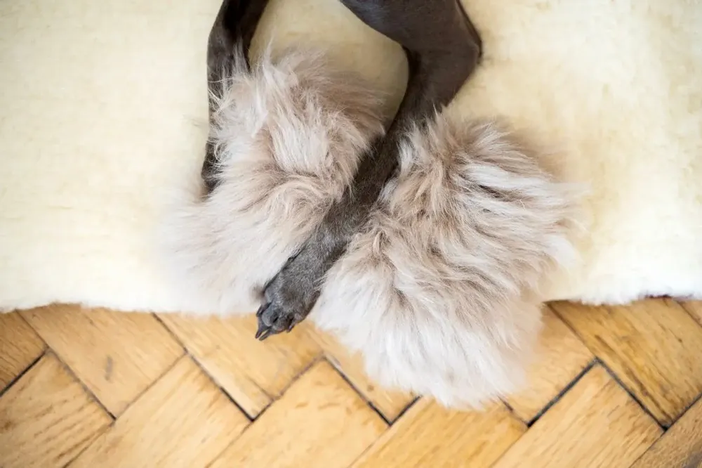 Decorative objects - Natural Sheepskin Dog Toy: Bone - Beige - MELLOW CONCEPT STORE