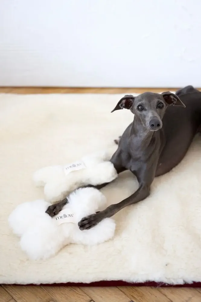 Decorative objects - Natural Sheepskin Dog Toy: Bone - Beige - MELLOW CONCEPT STORE