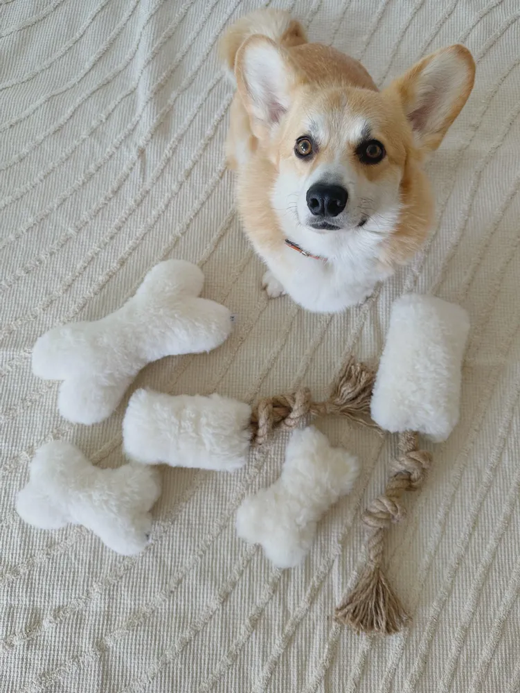 Decorative objects - Natural Sheepskin Dog Toy: Bone - Beige - MELLOW CONCEPT STORE