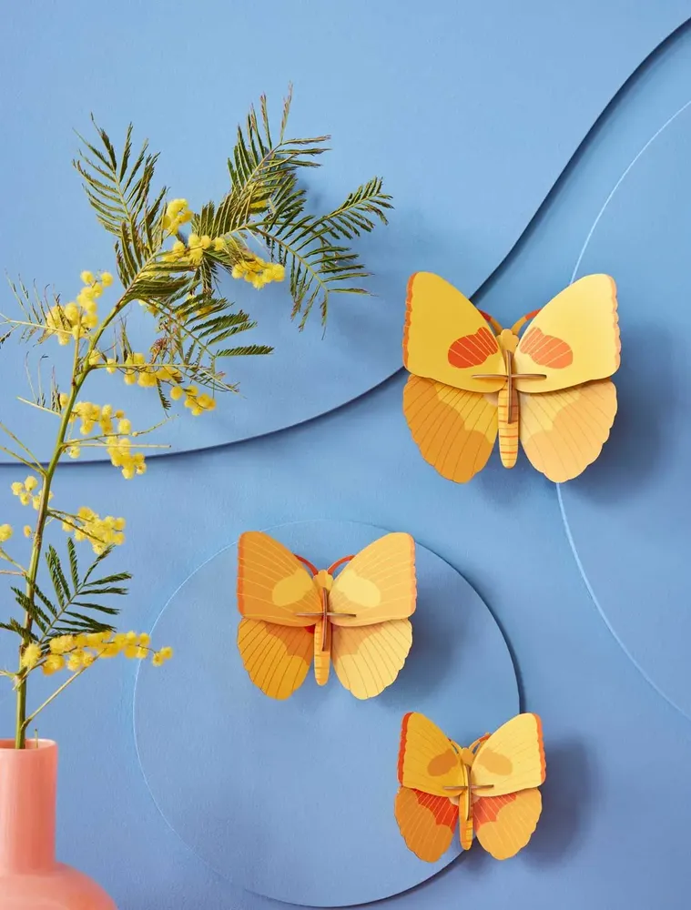 Other wall decoration - Butterflies & Beetles - STUDIO ROOF