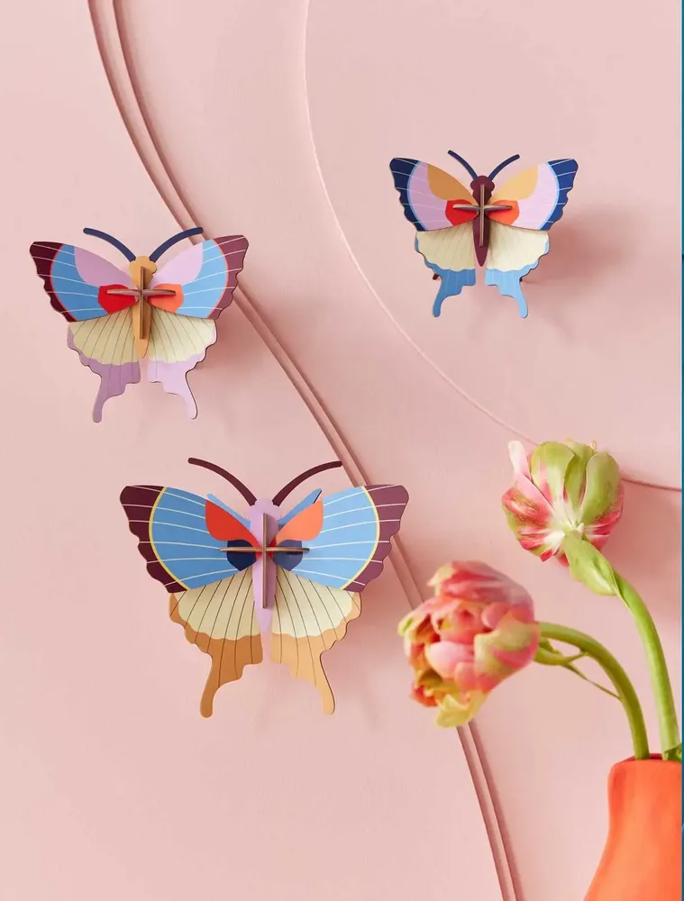 Other wall decoration - Butterflies & Beetles - STUDIO ROOF