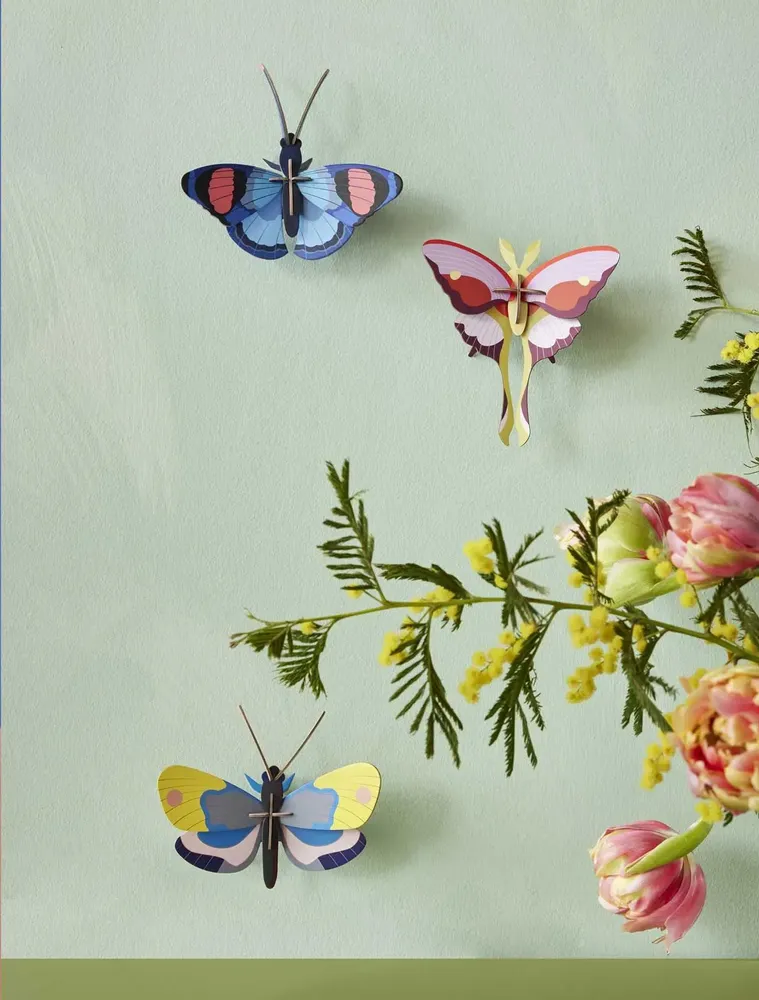Other wall decoration - Butterflies & Beetles - STUDIO ROOF