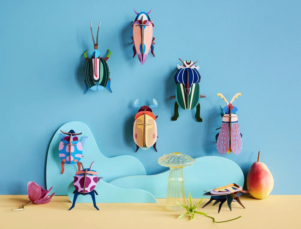 Other wall decoration - Butterflies & Beetles - STUDIO ROOF