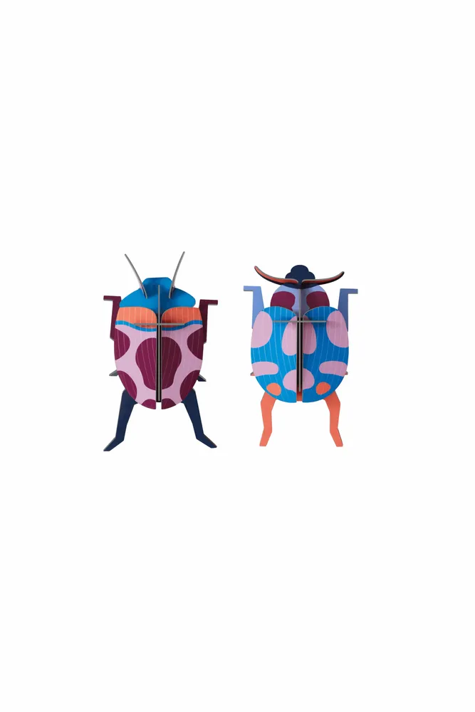 Other wall decoration - Butterflies & Beetles - STUDIO ROOF