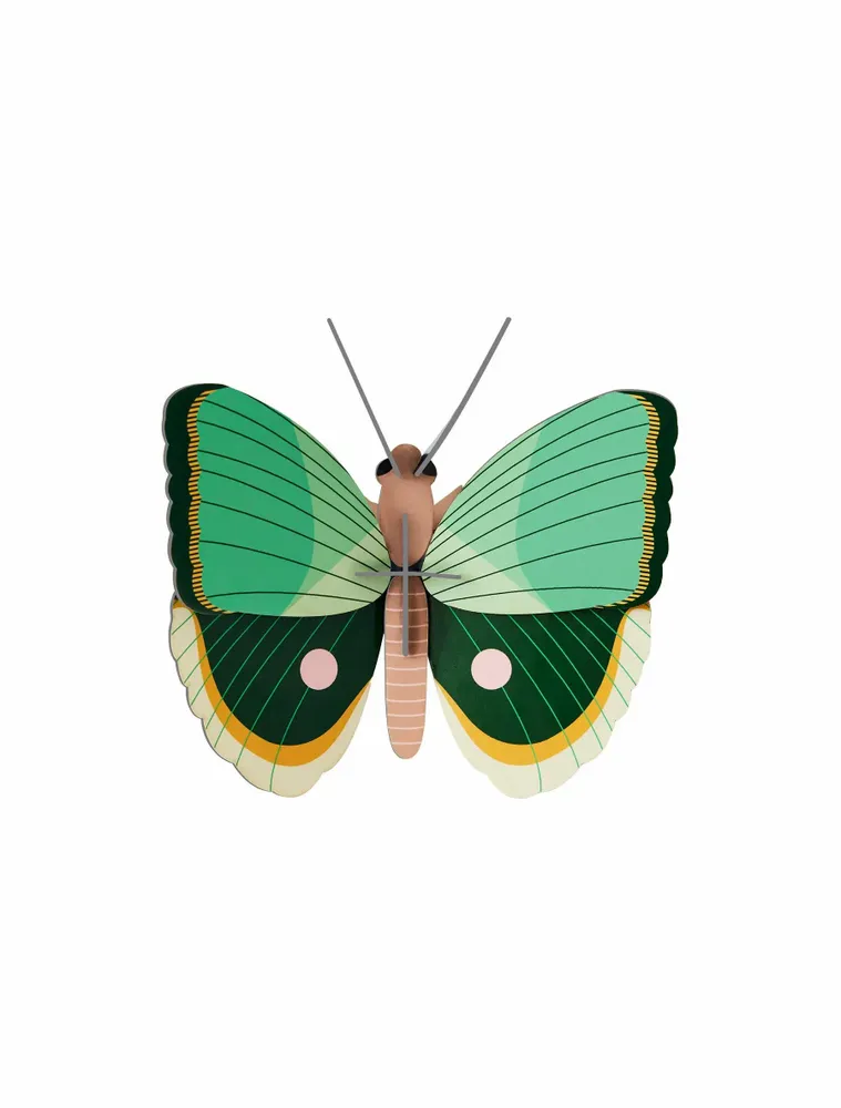 Other wall decoration - Butterflies & Beetles - STUDIO ROOF