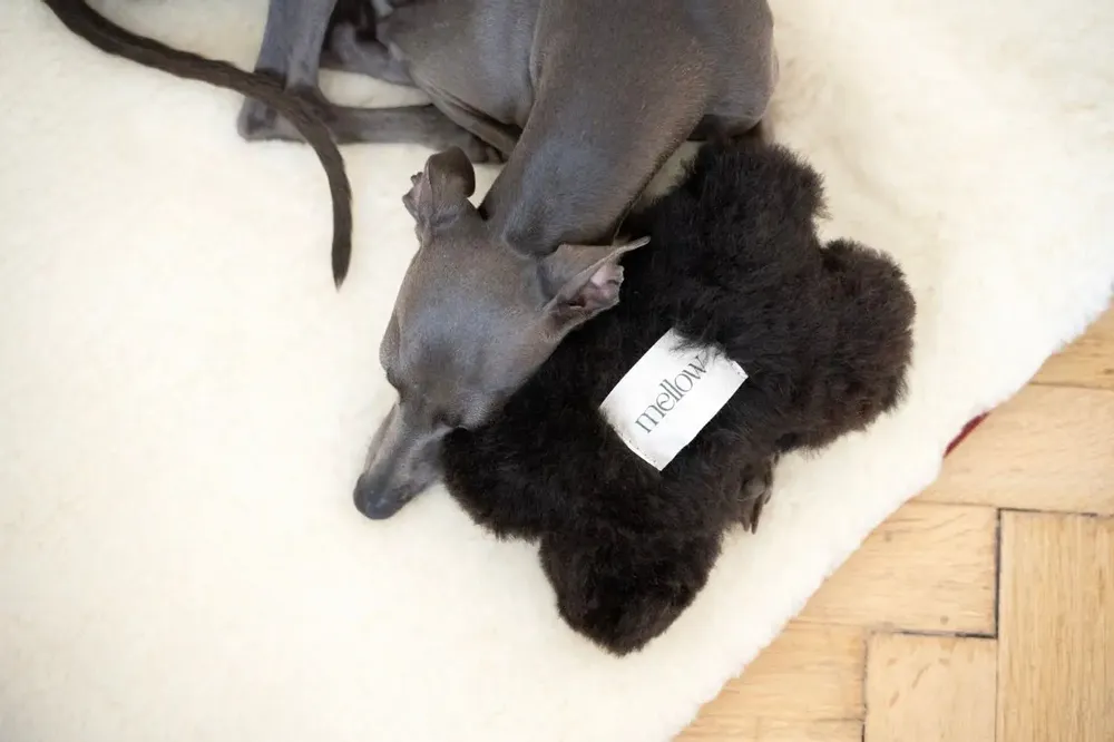 Objets de décoration - Jouet pour Chien en Peau de Mouton Naturelle : Os – Noir - MELLOW CONCEPT STORE