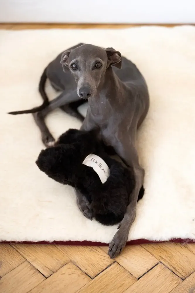 Objets de décoration - Jouet pour Chien en Peau de Mouton Naturelle : Os – Noir - MELLOW CONCEPT STORE