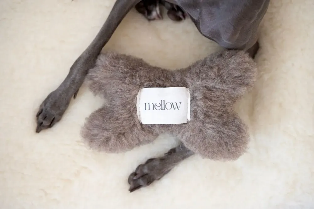 Decorative objects - Natural Woolen Dog Toy: Bone - Beige - MELLOW CONCEPT STORE