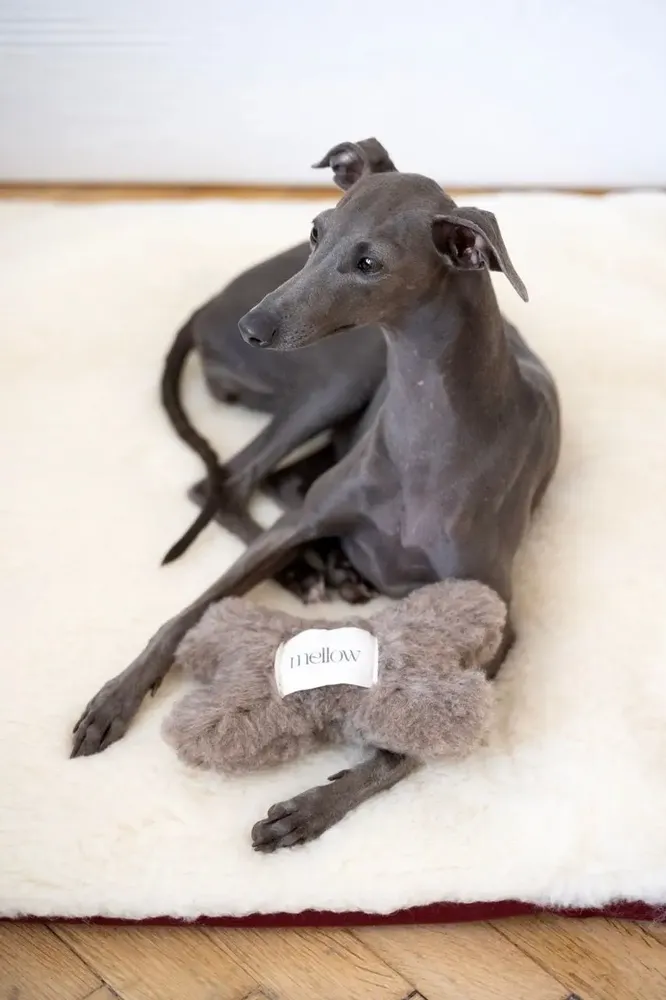 Decorative objects - Natural Woolen Dog Toy: Bone - Beige - MELLOW CONCEPT STORE