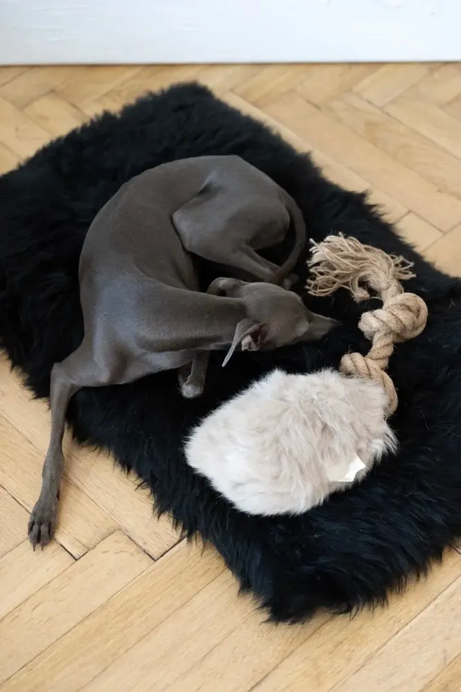 Decorative objects - Natural Sheepskin Dog Tug Toy - Beige - MELLOW CONCEPT STORE