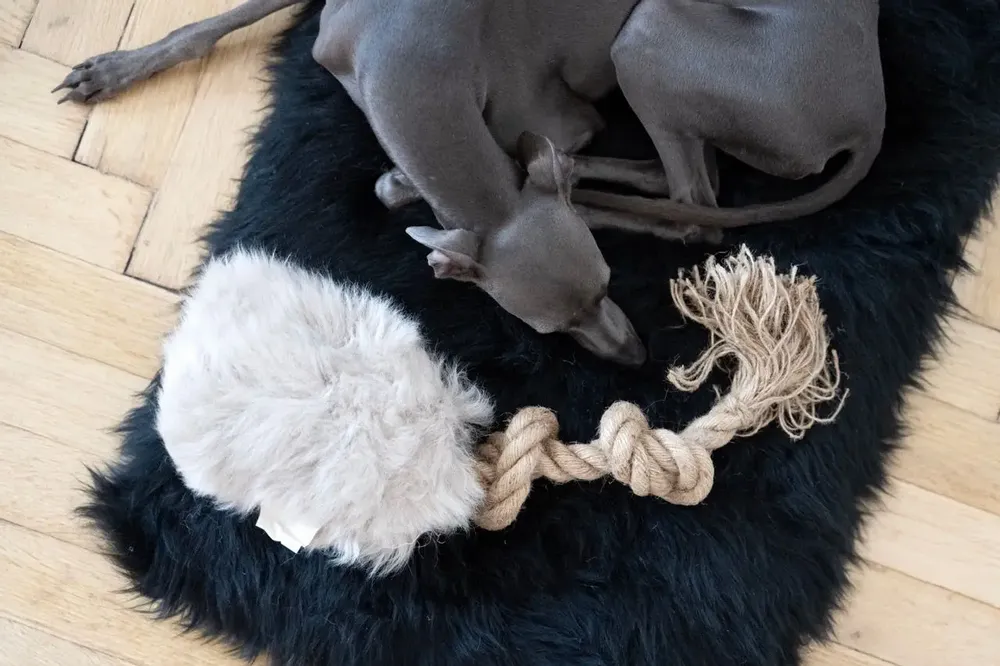 Decorative objects - Natural Sheepskin Dog Tug Toy - Beige - MELLOW CONCEPT STORE