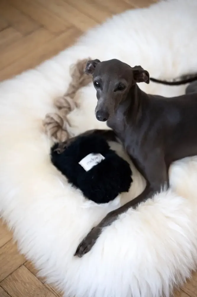 Decorative objects - Natural Sheepskin Dog Tug Toy - Black - MELLOW CONCEPT STORE