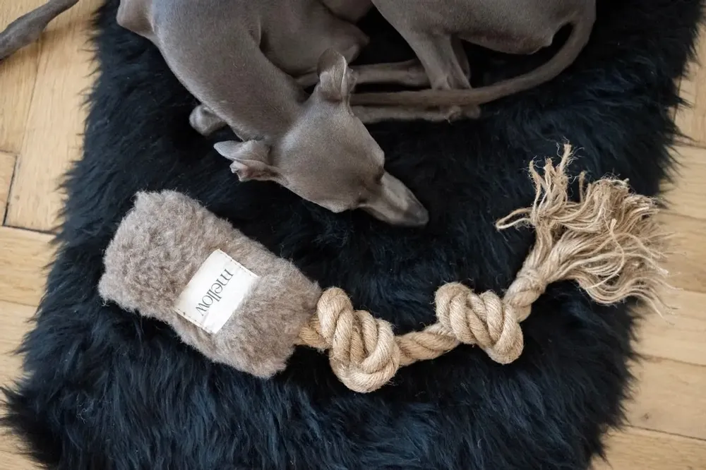 Decorative objects - Natural Woolen Dog Tug Toy - Beige - MELLOW CONCEPT STORE