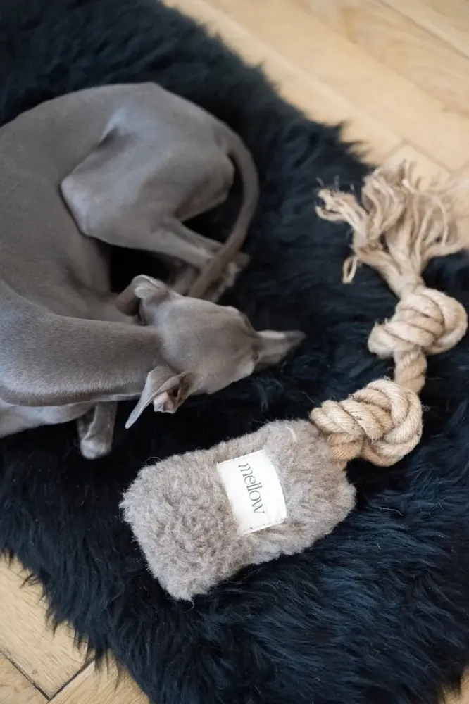 Decorative objects - Natural Woolen Dog Tug Toy - Beige - MELLOW CONCEPT STORE
